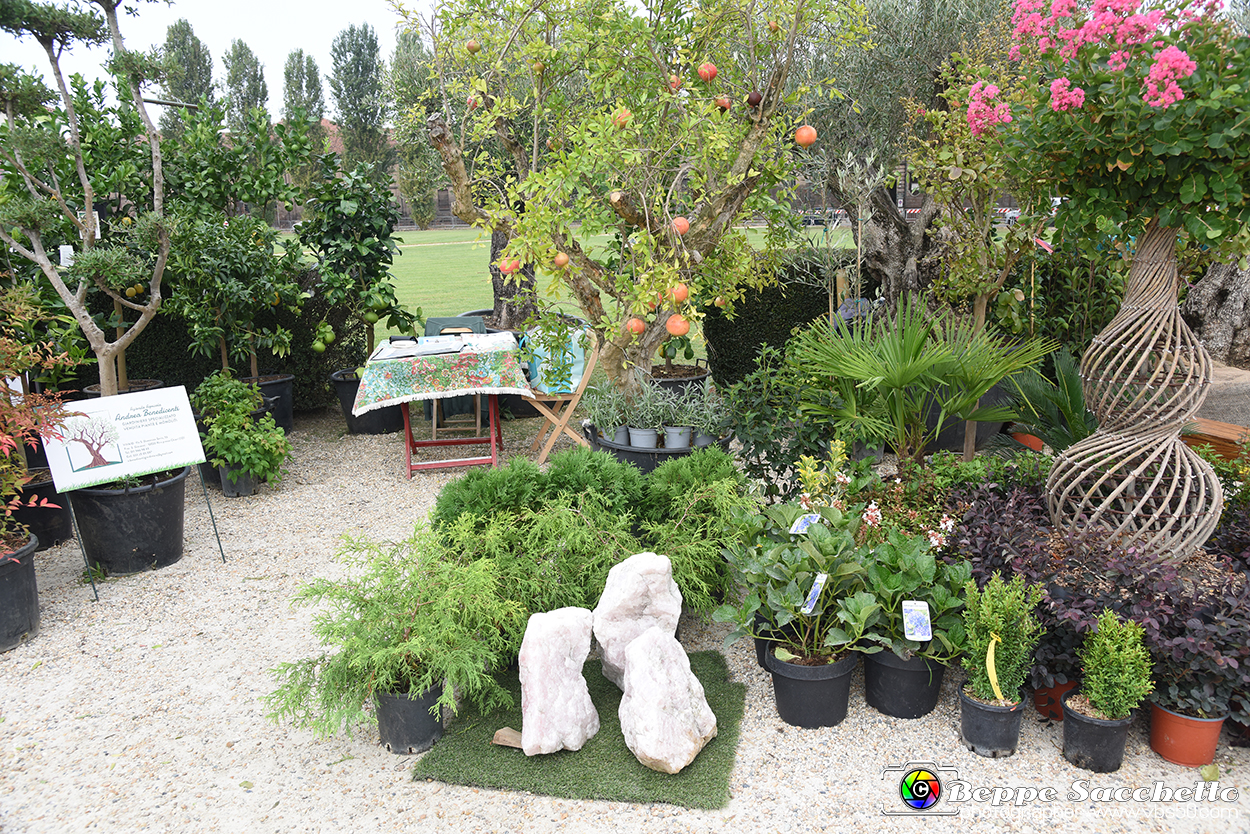 VBS_3442 - Floreal 2023 - Vivere con le piante.jpg